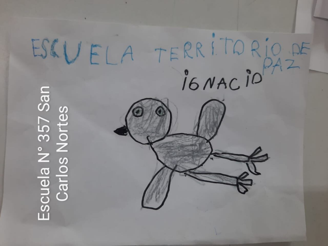 WhatsApp Image 2024-03-19 at 09.25.04