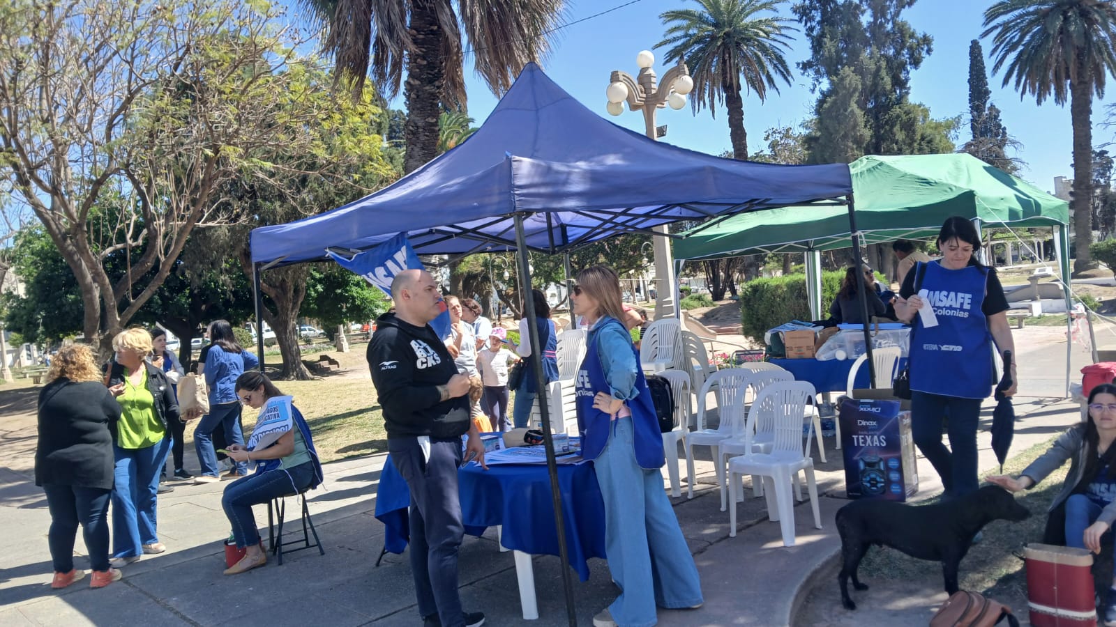 WhatsApp Image 2024-10-02 at 14.55.10 (2)